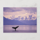 Suche nach nordamerika postkarten Alaska