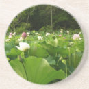 Recherche de fleur lotus dessous de verres Floral