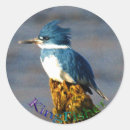 Recherche de marchands autocollants Oiseaux