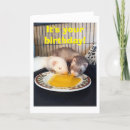 Suche nach verordnung postkarten Lustig