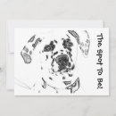 Recherche de dalmatien invitations Chiens