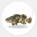 Recherche de eau salée autocollants Vie marine