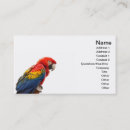 Recherche de aras cartes visite Coloré