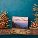 Suche nach nord fotoplatten Wald