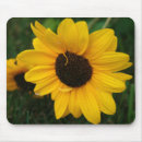 Suche nach garten mit sonnenblumen mousepads Foto