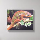 Suche nach panther leinwandbilder Chamäleon