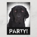 Recherche de labrador invitations Laboratoire noir