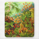 Suche nach ernst mousepads Haeckel