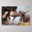 Suche nach hundefutter poster Spaß