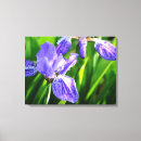 Suche nach lila iris poster Floral