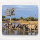 Recherche de la savane tapis souris Éléphant