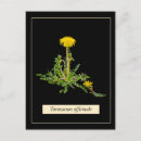 Suche nach botanicals postkarten Blume