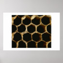 Suche nach bienenwabe kunst Natur