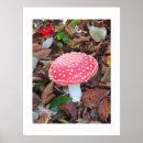 Recherche de tabouret Nature