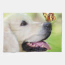 Suche nach gelber labrador geschirr tücher Hund