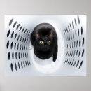 Recherche de humoristique chat noir posters Mignon