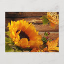 Recherche de leaver cartes postales Pour elle