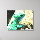 Suche nach reptil leinwandbilder Echse