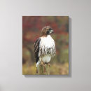 Suche nach rapper kunst Vogel