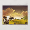 Recherche de saskatchewan cartes postales Ferme