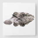 Recherche de crocs horloges Nature