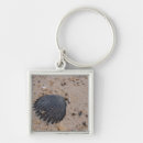 Suche nach kamm schlüsselanhänger Muscheln