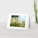 Suche nach jasmin blumen karten Natur