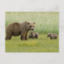 Recherche de maternité cartes postales Animal