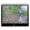 Suche nach chinesischer kalender 2012