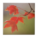Suche nach herbst fliesen Rot