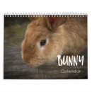 Recherche de lapin calendriers Drôle