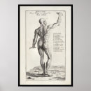 Suche nach anatomisches zeichnen poster Anatomie