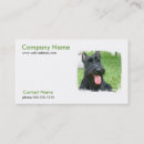 Recherche de écossais cartes visite Chien
