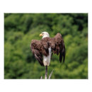 Suche nach symbolisch poster Natur