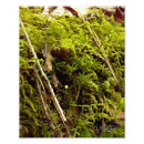 Recherche de brique posters Nature