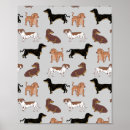 Recherche de dachshund posters Motif