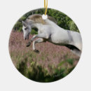 Recherche de galop ornements Équestre