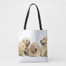 Suche nach labrador taschen Tiere