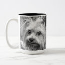 Recherche de yorkshire terrier tasses Mignonne