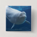 Recherche de nous corps des marines accessoires Animal