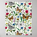 Suche nach weißer schmetterling poster Blume