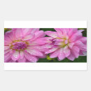 Suche nach dahlien aufkleber Blume