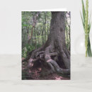 Suche nach louisiana karten Sumpf