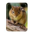 Suche nach draußen magnete Niedlich