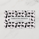 Recherche de chatons cartes visite Moderne