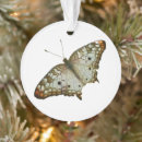 Suche nach exotisch ornamente Fotografie
