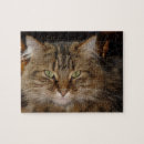 Recherche de sibérie puzzles Chat