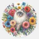 Recherche de ragdoll bleu autocollants Animal