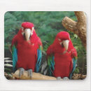 Suche nach roter papagei mousepads Papageien