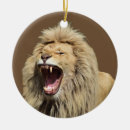 Recherche de roi lion ornements Drôle